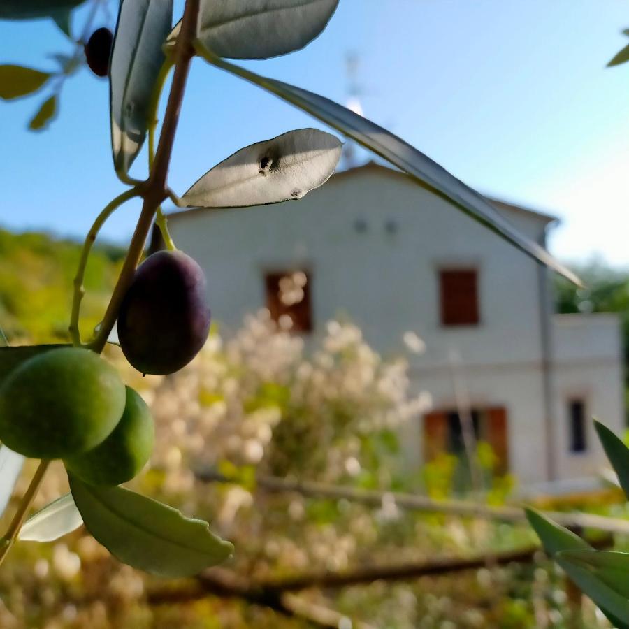 Ca'Rosei Apartamento Monteciccardo Exterior foto