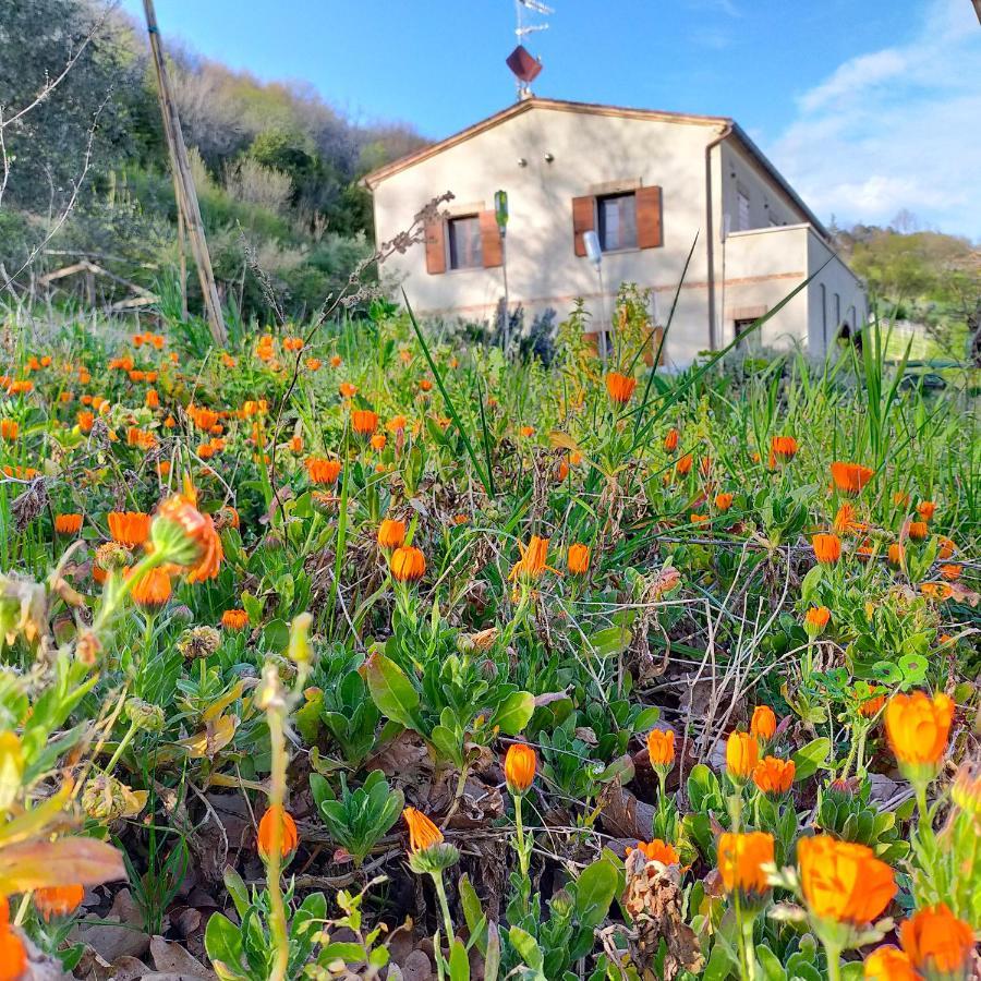 Ca'Rosei Apartamento Monteciccardo Exterior foto